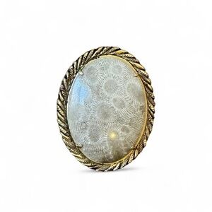 Fossilized Coral Vintage Brooch Metal Frame Missing Pin & Clasp 2x2.5" Pendant